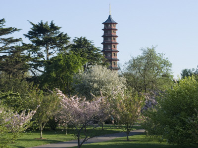View Of Pagoda, Kew Gardens, Kew, London by Natalie Tepper Pricing Limited Edition Print image