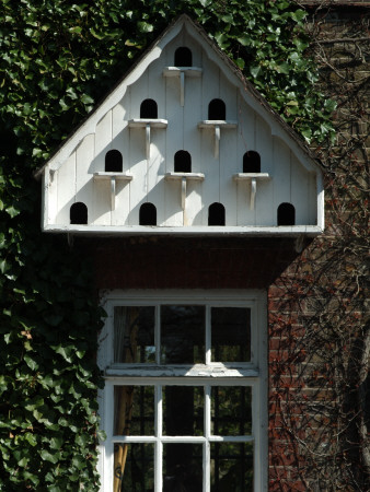 Backgrounds - Triangular Dovecote Above Window On Ivy-Covered Wall by Natalie Tepper Pricing Limited Edition Print image
