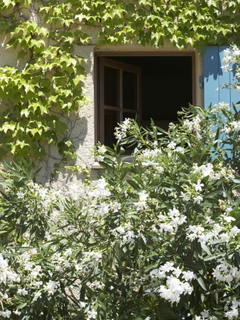 La Mas, Modern Traditional Style Provencal House, Window With Open Shutter, Architect: Chris Rudolf by Richard Bryant Pricing Limited Edition Print image