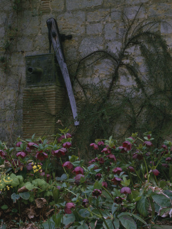 Little Thakeham, West Sussex, England, Corner Of Garden, Architect: Edwin Lutyens by Richard Bryant Pricing Limited Edition Print image