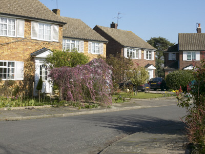 Suburban Housing, Sunbury On Thames, London, Cul-De-Sac Houses by Tim Mitchell Pricing Limited Edition Print image