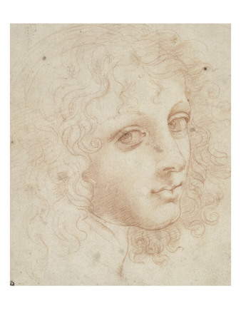 Tête De Jeune Homme Aux Cheveux Bouclés, De Trois Quarts Vers La Droite by Léonard De Vinci Pricing Limited Edition Print image