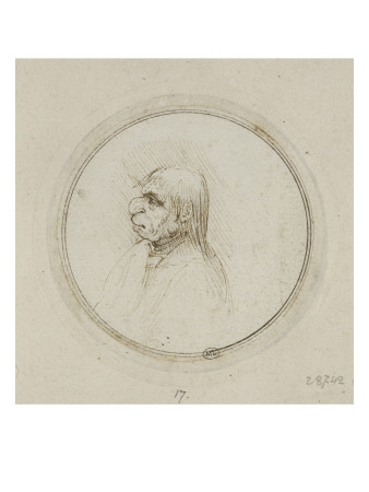 Homme De Profil À Gauche, Avec Un Gros Nez by Léonard De Vinci Pricing Limited Edition Print image