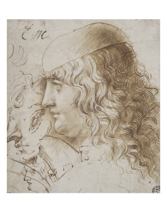 Profil De Jeune Homme Aux Cheveux Longs, Et Autres Etudes De Tetes by Leonard De Vinci Pricing Limited Edition Print image