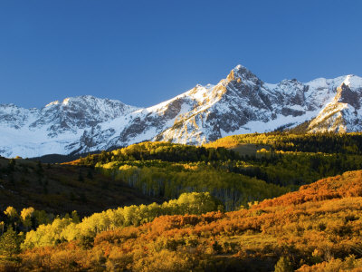 Sunrise On The Mt. Sneffles, Dallas Divide, Colorado, Usa by Terry Eggers Pricing Limited Edition Print image