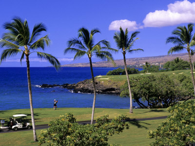 Golfing, Big Island, Hawaii, Usa by Michael Defreitas Pricing Limited Edition Print image