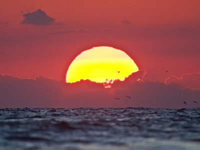 Sunrise On The Gulf Of Mexico, South Padre Island, Texas, Usa by Larry Ditto Pricing Limited Edition Print image