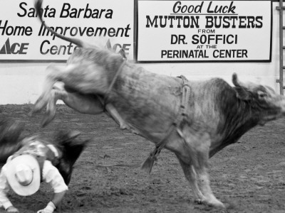 Close Call, Santa Barbara Rodeo by Eloise Patrick Pricing Limited Edition Print image