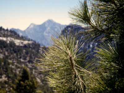 Las Sierras, Baja by Eloise Patrick Pricing Limited Edition Print image