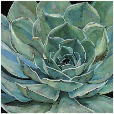 Agave Flower by Jill Barton Pricing Limited Edition Print image