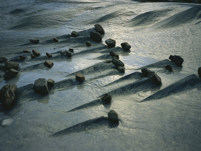 Small Wedges Of Limestone Shaped By High-Velocity Wind And Rain by Carsten Peter Pricing Limited Edition Print image