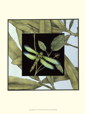 Dragonfly Inset V by Jennifer Goldberger Pricing Limited Edition Print image