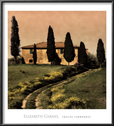 Tuscan Farmhouse by Elizabeth Carmel Pricing Limited Edition Print image