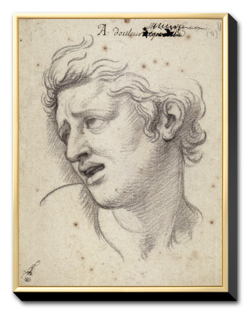 Album Expression Of The Passions: Pain Of The Mind by Charles Le Brun Pricing Limited Edition Print image