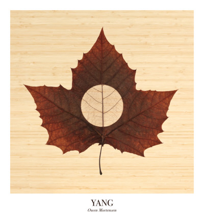 Yang Bamboo by Owen Mortensen Pricing Limited Edition Print image