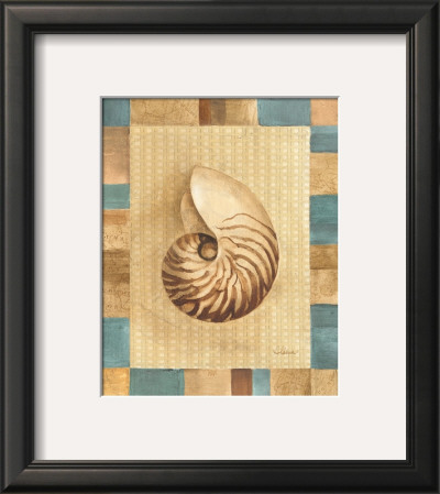Seashell Iii by Albena Hristova Pricing Limited Edition Print image