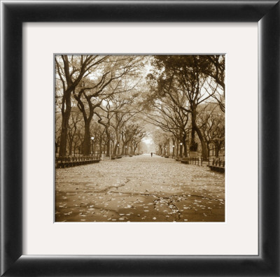 Central Park by Sondra Wampler Pricing Limited Edition Print image