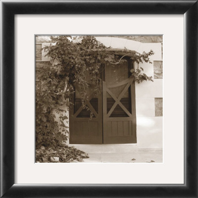 Doors With Vines by Francisco Fernandez Pricing Limited Edition Print image