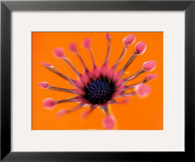 Whirligig by Andy Small Pricing Limited Edition Print image