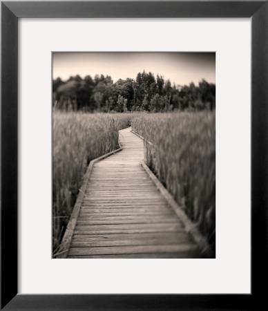 Towards Woods by Andrew Ren Pricing Limited Edition Print image