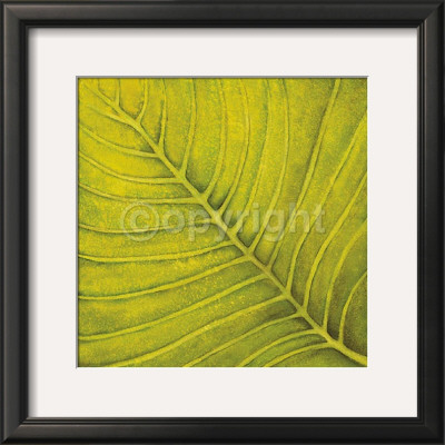 Fresh Green by Caroline Wenig Pricing Limited Edition Print image