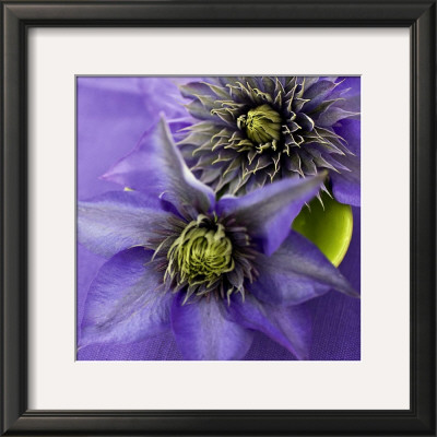 Deux Clematites by Catherine Beyler Pricing Limited Edition Print image