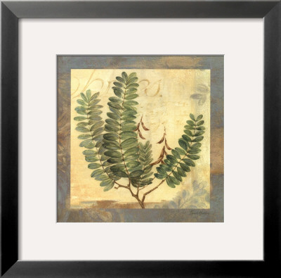 Leaf Botanicals Ii by Pamela Gladding Pricing Limited Edition Print image