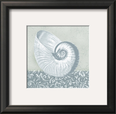 Coastal Cottage Shell Ii by Krissi Pricing Limited Edition Print image