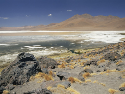 Lago Colorado, White Mineral Deposits And Red Dinoflagellates, 4200M Altitude, Andes, Bolivia by Doug Allan Pricing Limited Edition Print image