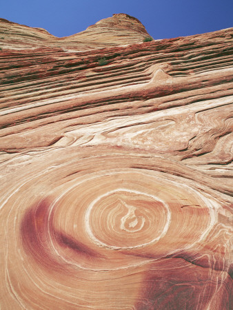 Sandstone Patterns In Rock Formations, Colorado Plateau, Utah, Usa by David Welling Pricing Limited Edition Print image