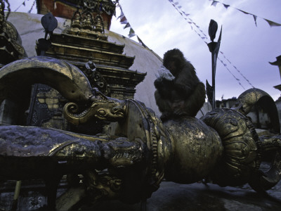 Ape On Scultpure, Nepal by Michael Brown Pricing Limited Edition Print image