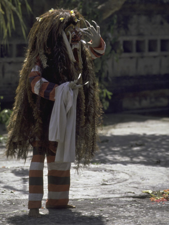 Dragon Costume, Indonesia by Michael Brown Pricing Limited Edition Print image
