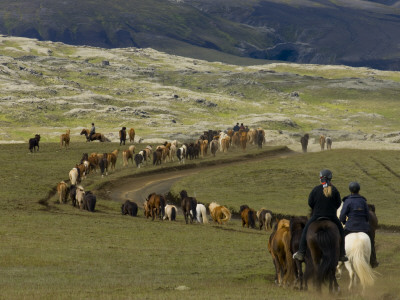 Icelandic Horses And Riders, Riding Near Landmannalaugar, Iceland by Inaki Relanzon Pricing Limited Edition Print image