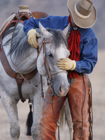 Cowboy Leading And Stroking His Horse, Flitner Ranch, Shell, Wyoming, Usa by Carol Walker Pricing Limited Edition Print image