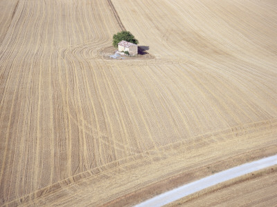 Small Traditional Barn Surrounded By Large Field, Valensole, Provence, France, June 2004 by Inaki Relanzon Pricing Limited Edition Print image