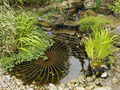 Small Garden Pond With Rustic Wheel Feature And Waterfall, Norfolk, Uk by Gary Smith Pricing Limited Edition Print image