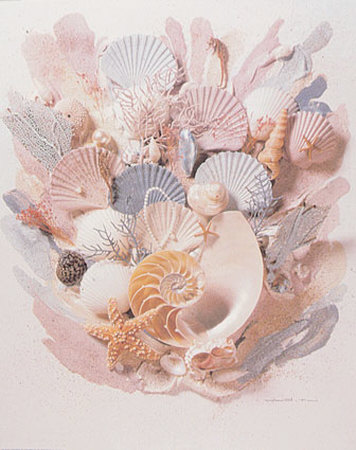 Starfish Coral by Judith Pricing Limited Edition Print image