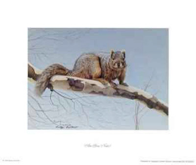 Are You Nuts? by Rusty Frentner Pricing Limited Edition Print image