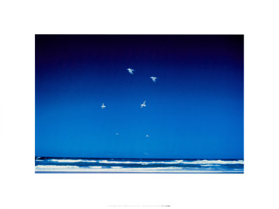 Seagulls by Fujiwara Pricing Limited Edition Print image