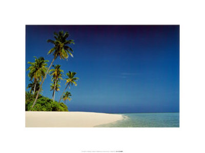 The Maldives by Peter Newton Pricing Limited Edition Print image