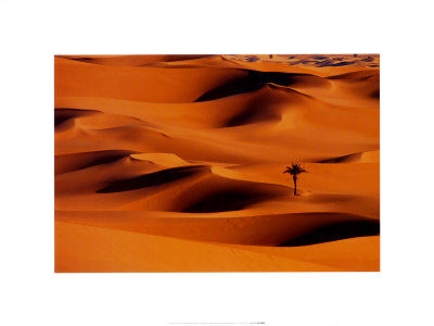 Desert Dunes, Algeria by Frans Lemmens Pricing Limited Edition Print image
