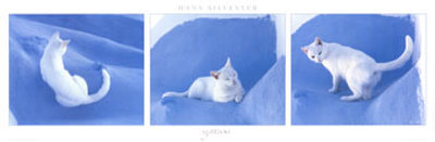 Kitten by Hans W. Sylvester Pricing Limited Edition Print image