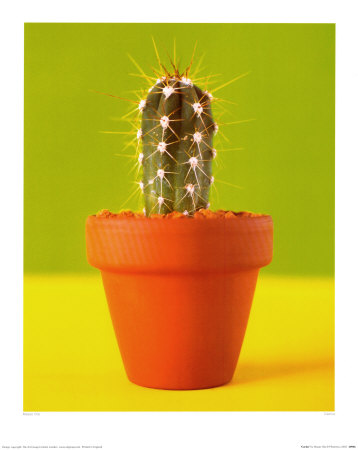 Cactus by Masao Ota Pricing Limited Edition Print image