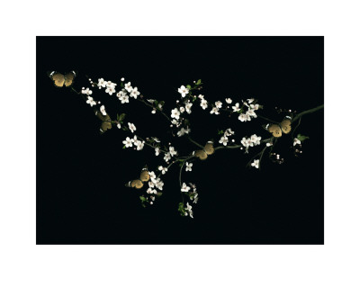 Blossom And Butterflies by Ian Winstanley Pricing Limited Edition Print image