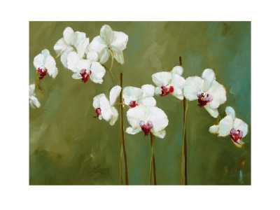 Orchid In Greens by Nicola Acaster Pricing Limited Edition Print image