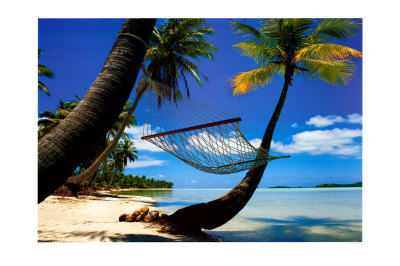 Hammock Hanging Seaside by Randy Faris Pricing Limited Edition Print image