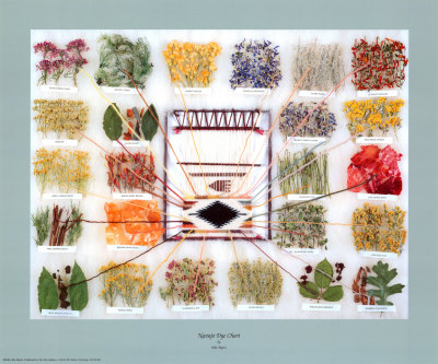 Navajo Dye Chart by Ella Myers Pricing Limited Edition Print image