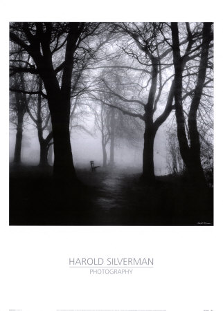 Wooded Bench by Harold Silverman Pricing Limited Edition Print image