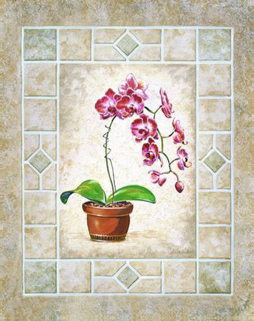 Orchid Blossoms I by Anita S. Bice Pricing Limited Edition Print image