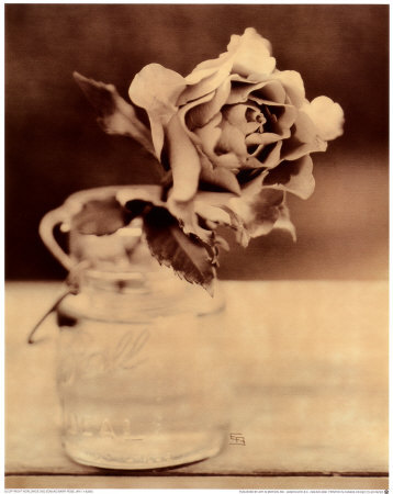 Rose Jar Ii by Edmund Barr Pricing Limited Edition Print image